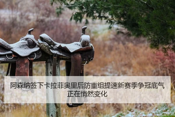 阿森纳签下卡拉菲奥里后防重组提速新赛季争冠底气正在悄然变化